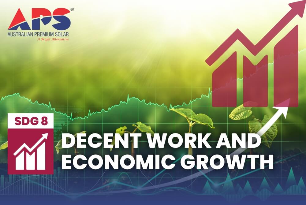 SDG 8 APS