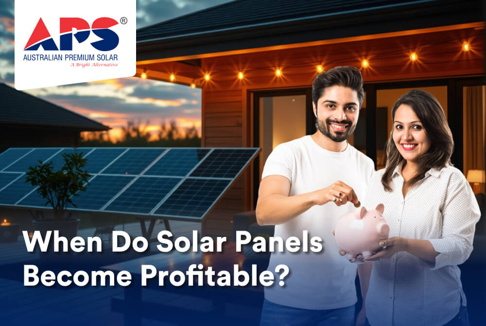 Solar ROI- APS explained