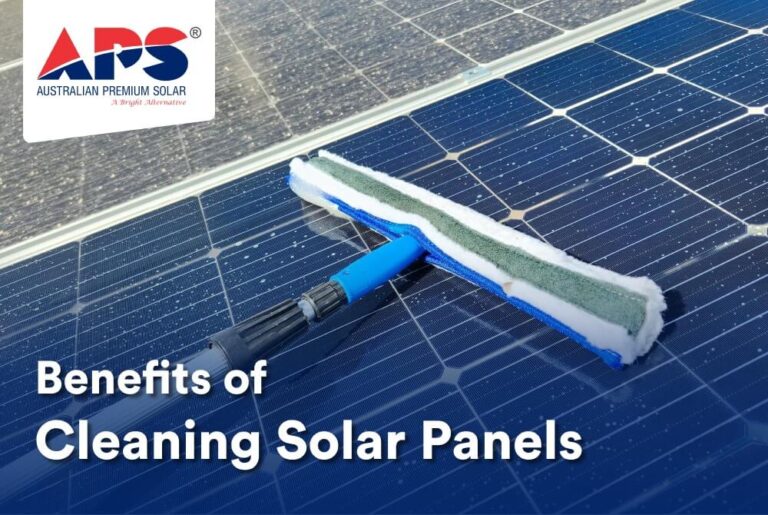 Solar Panel Cleaning